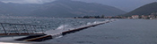 Ingemar - Floating breakwaters