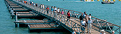 Ingemar - Floating bridges